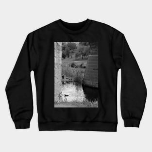 Boy feeding the ducks Crewneck Sweatshirt